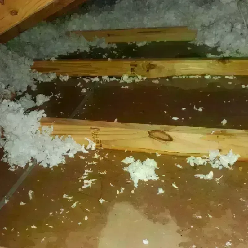 Attic Water Damage in Grant County, NM